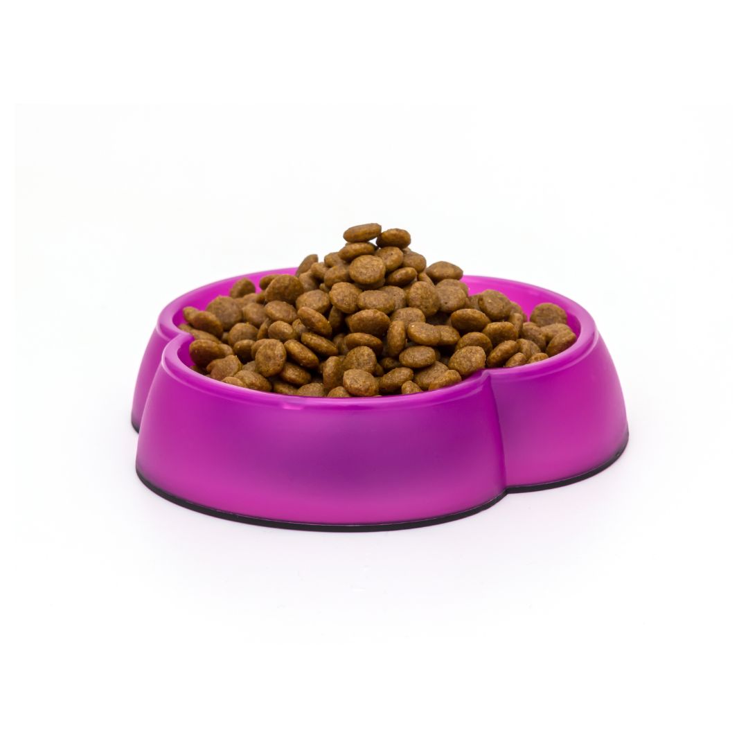 Buy Cat Bowls in Pakistan in Best Price PetsPark.pk