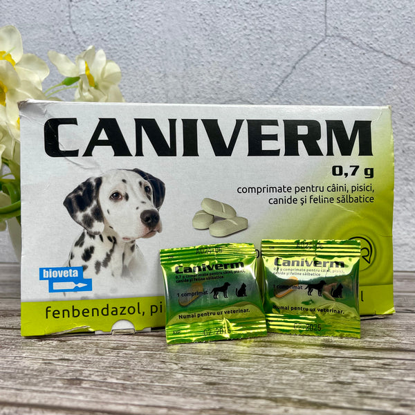 Caniverm Deworming Tablets for Cats & Dogs 01 Tablet pets-park-pk