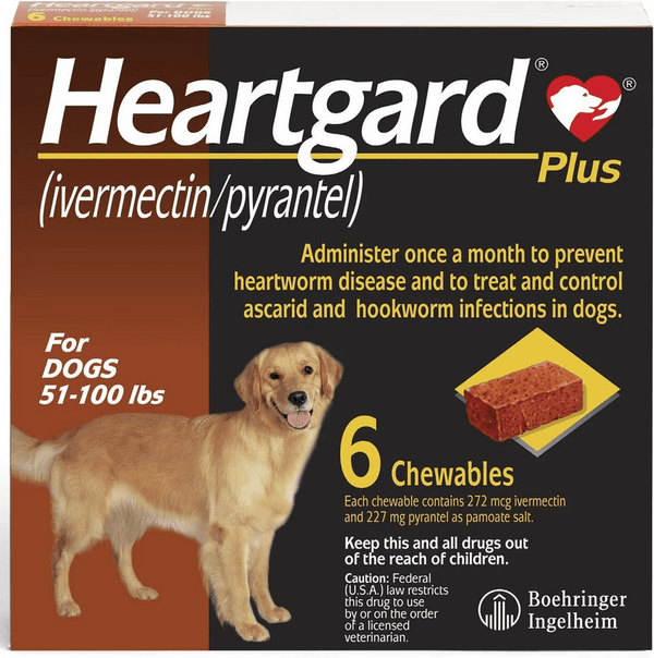 Heartgard Plus Chew for Dogs, 51-100 lbs * 1 Tablet pets-park-pk