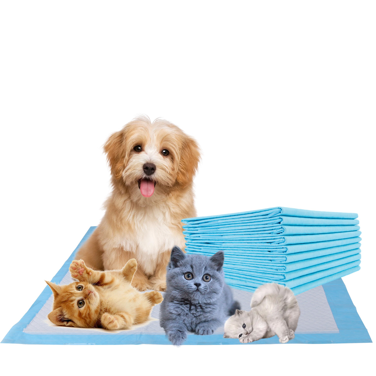 Super Absorbent Leak Resistant Puppy Kitten Dog Training Pee Pads Ext PetsPark.pk