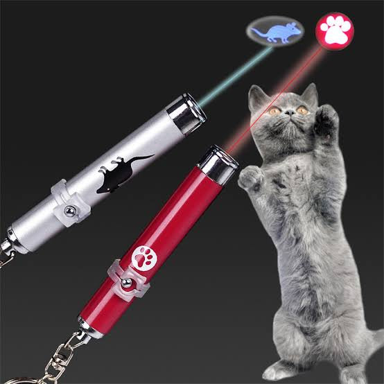 Cat Laser Toy Light pets-park-pk