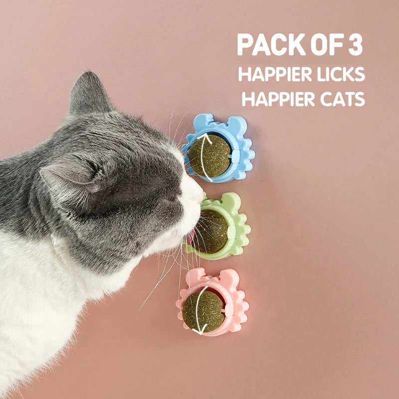 Catnip Lollipop for Cats pets-park-pk