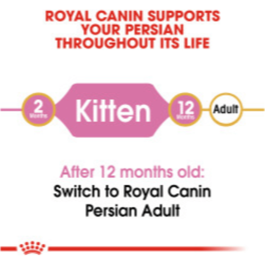 Royal Canin Persian Kitten pets-park-pk