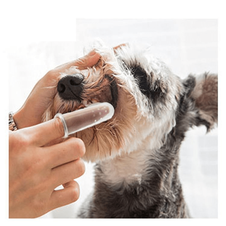Soft Silicone Tooth Brushing Kit Set Teeth Cleaning Pet Dog Finger Toothbrush pets-park-pk