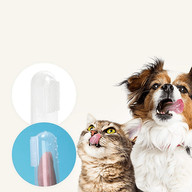Transparent Finger Brush for Cats and Dogs pets-park-pk