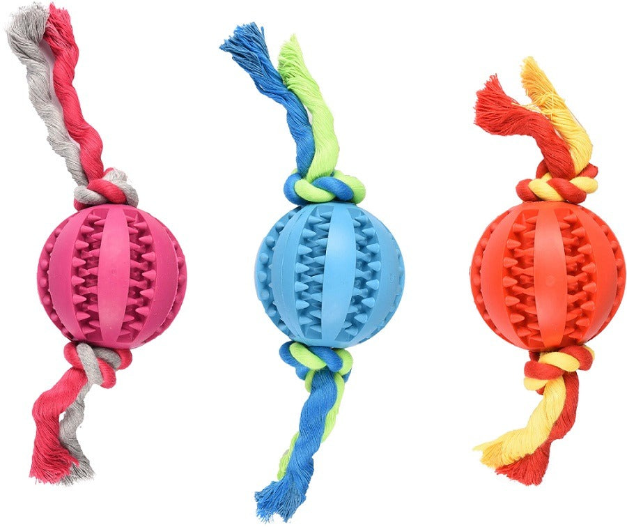 Dual-Texture Cotton Rope & Rubber Chew Toy – PetsPark.pk