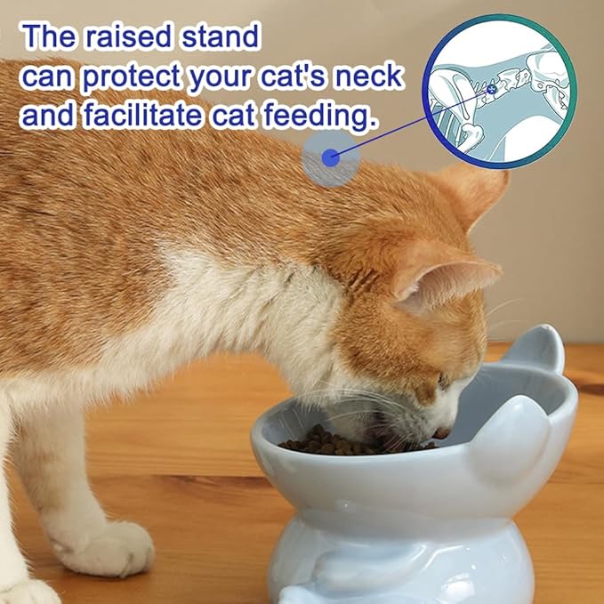 Anti-Vomiting Raised Cat Feeding Bowl – PetsPark.pk
