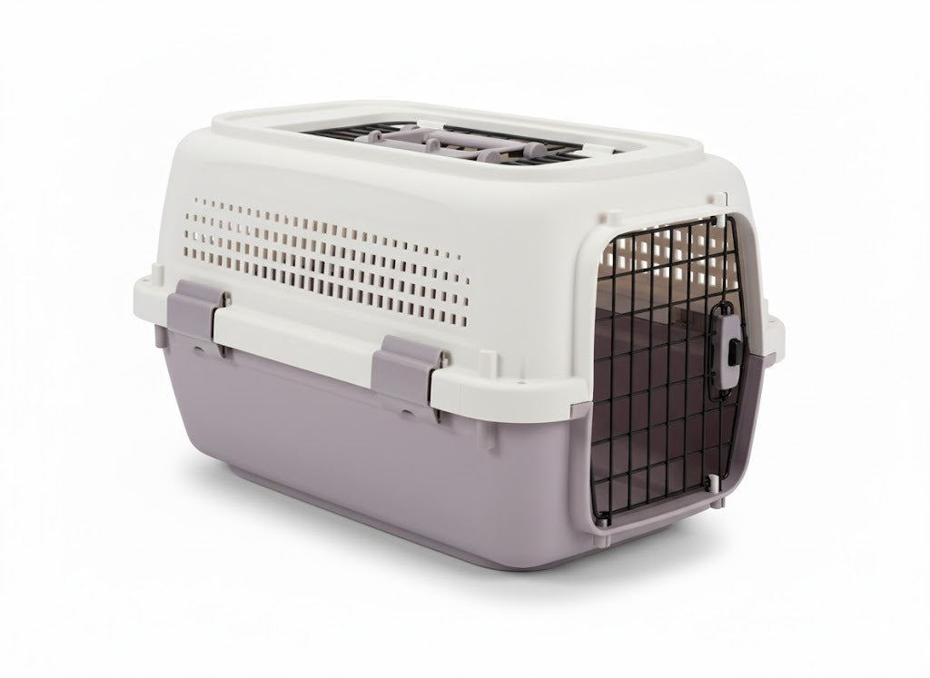 Airy Jetbox for Cats and Kitten pets-park-pk