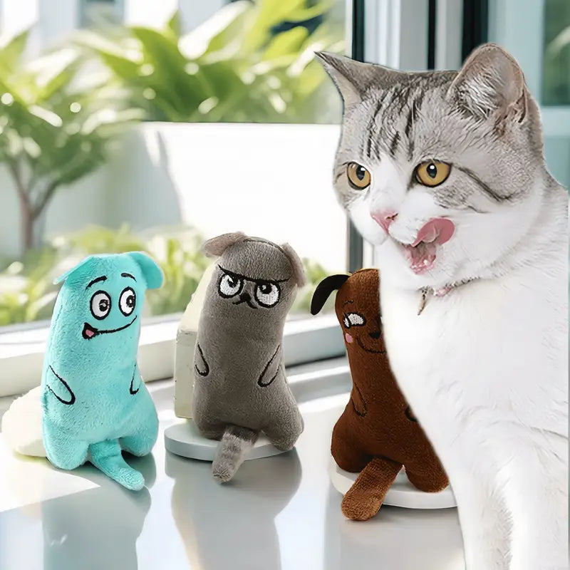 Angry Face Plush Toy for Cats pets-park-pk