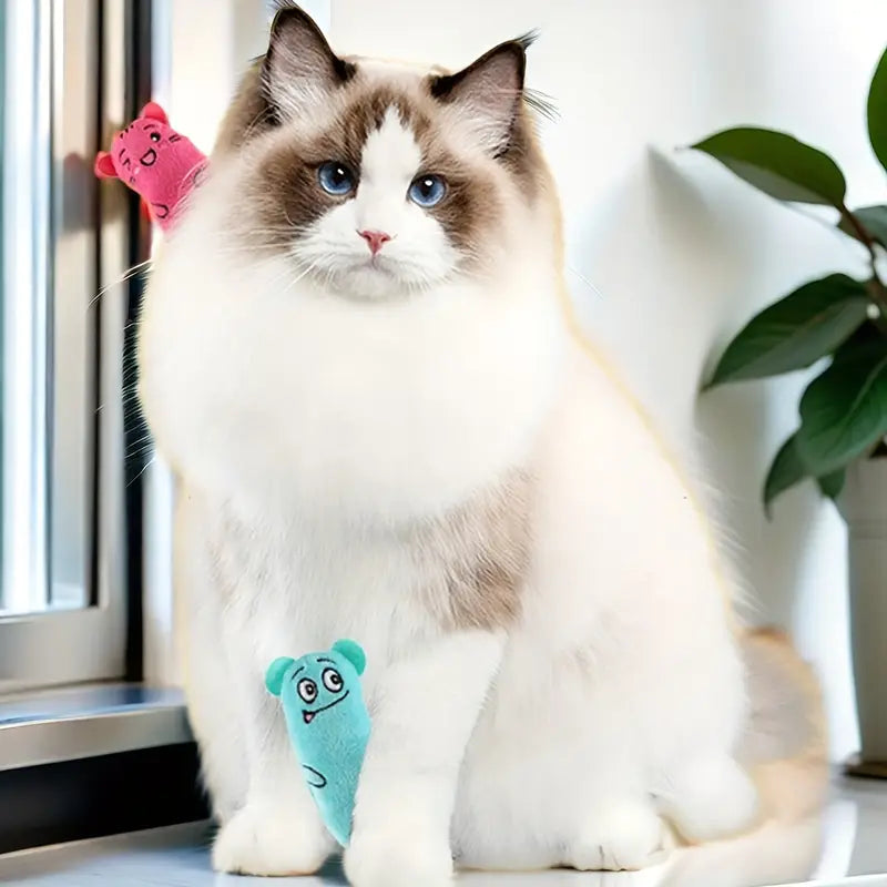 Angry Face Plush Toy for Cats pets-park-pk