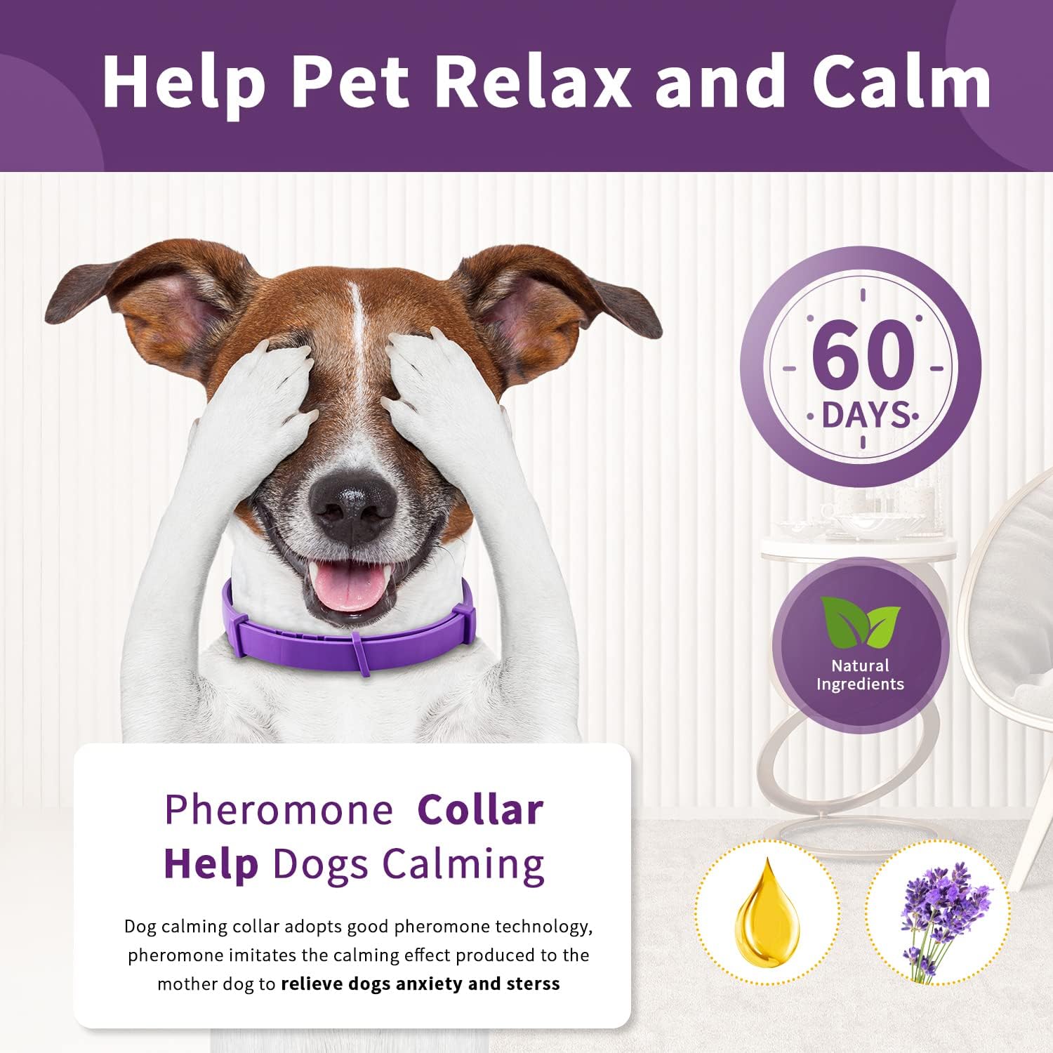 thumbnail image 2 of Calming Collar For Dogs With Long-Lasting Pheromone,Dog Calming Collar Helps Reduce Unwanted Behavior,Stress Relief Lasts 60 Days 25 Inches Size Flexible Adjustable For Puppy & Adult Dogs (Black 2 of 12