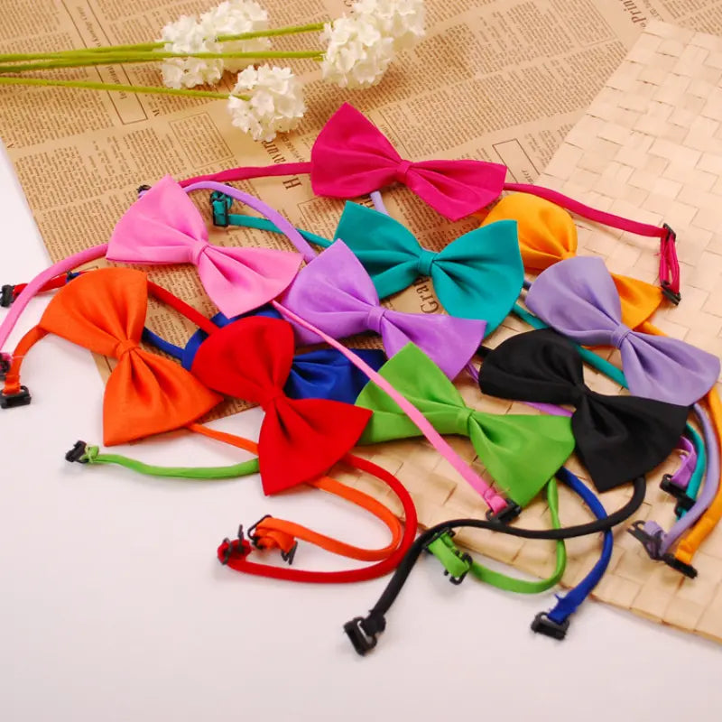 Bows for Cats and Small Puppies/Dogs pets-park-pk
