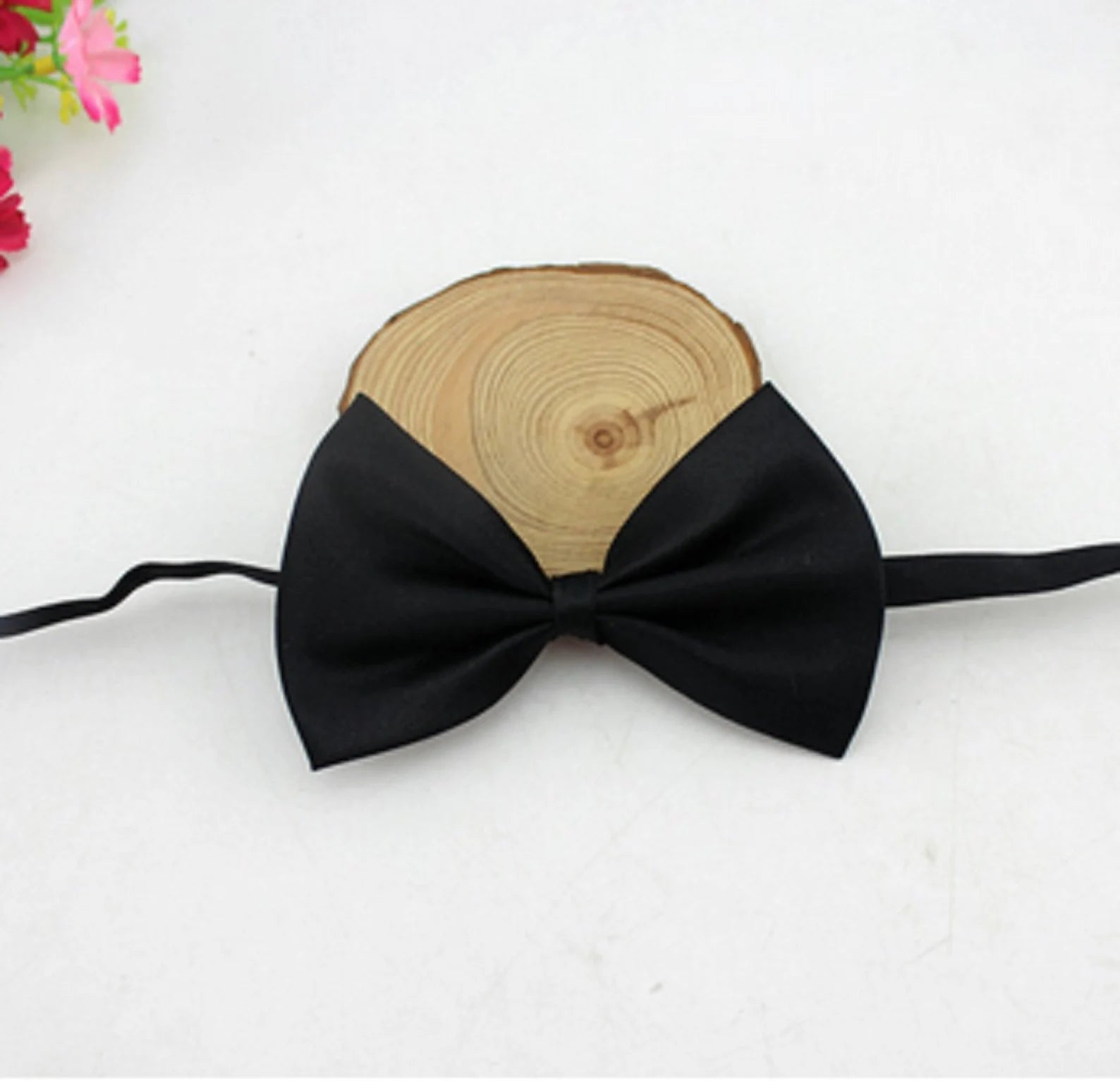 Bows for Cats and Small Puppies/Dogs pets-park-pk