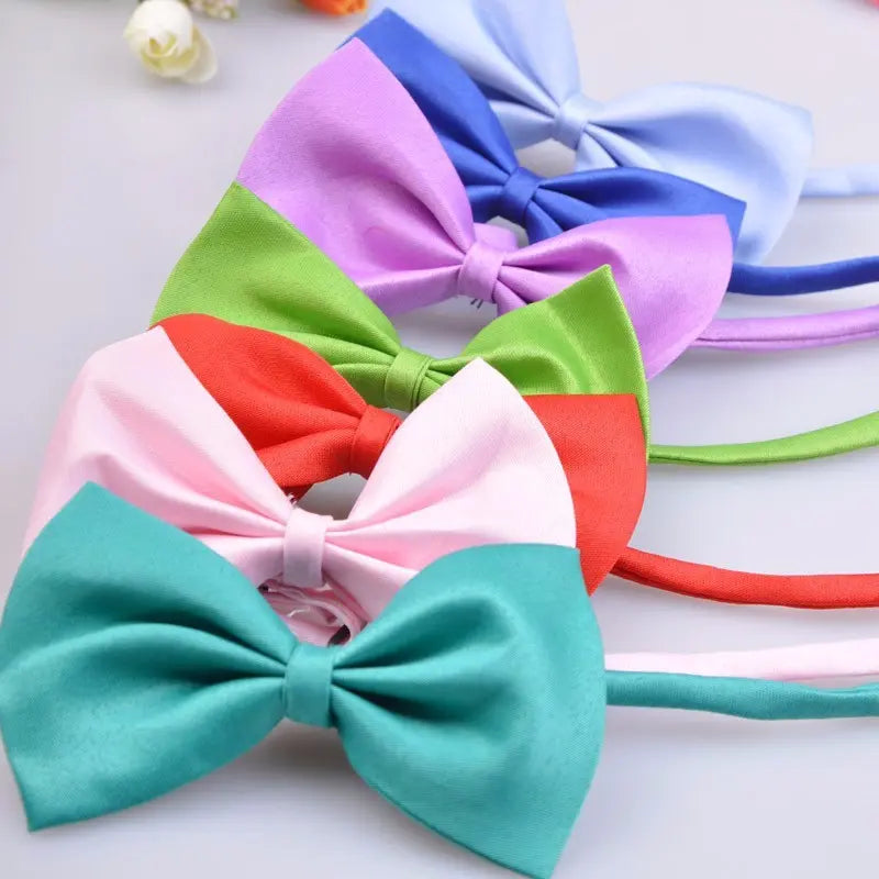 Bows for Cats and Small Puppies/Dogs pets-park-pk