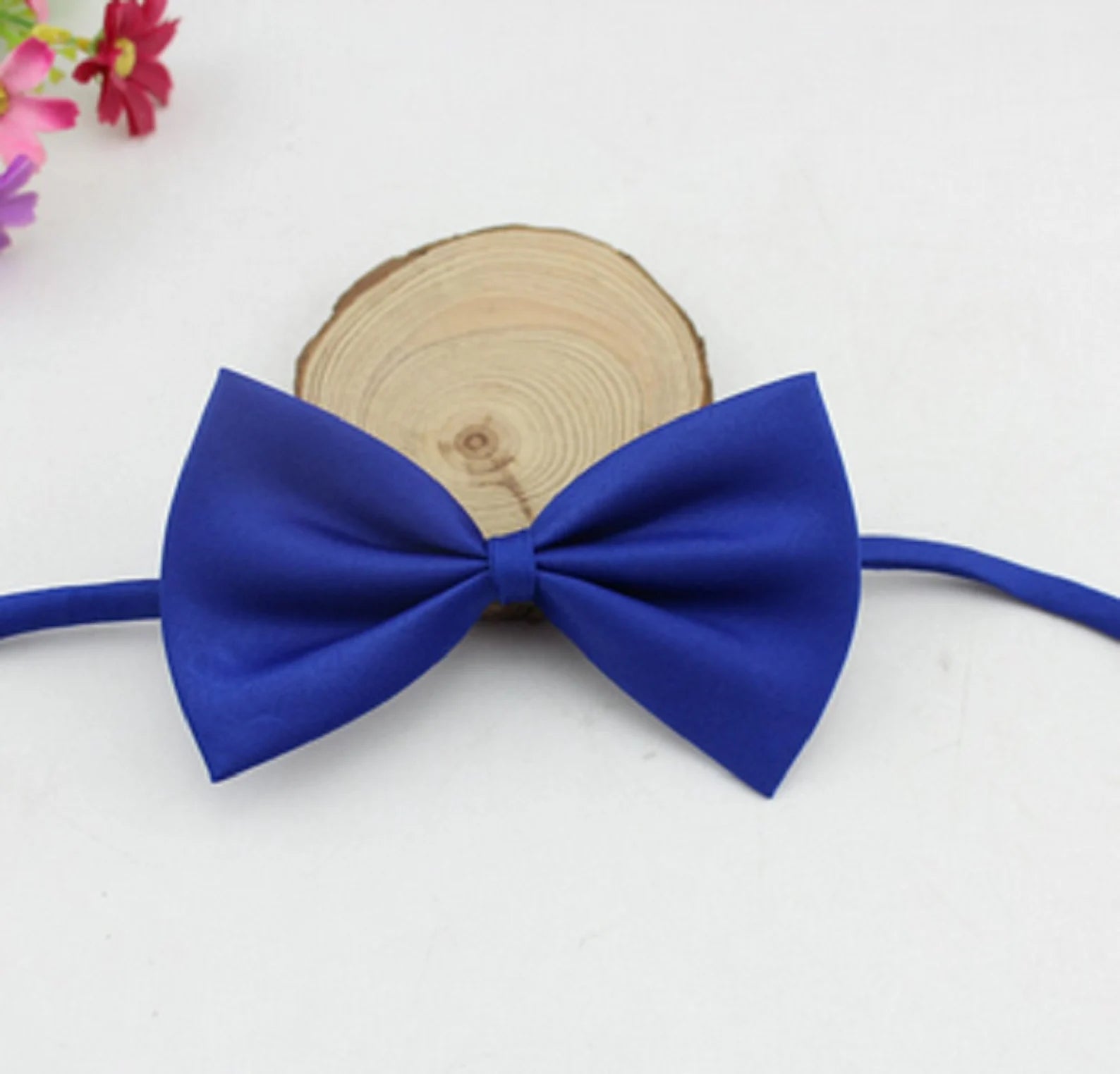 Bows for Cats and Small Puppies/Dogs pets-park-pk
