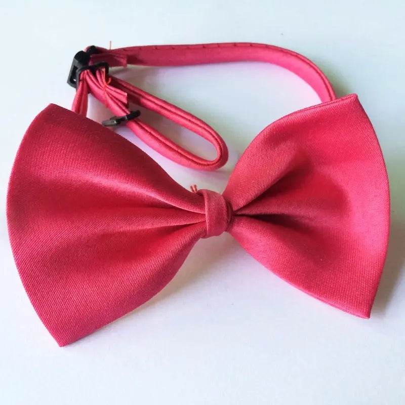 Bows for Cats and Small Puppies/Dogs pets-park-pk