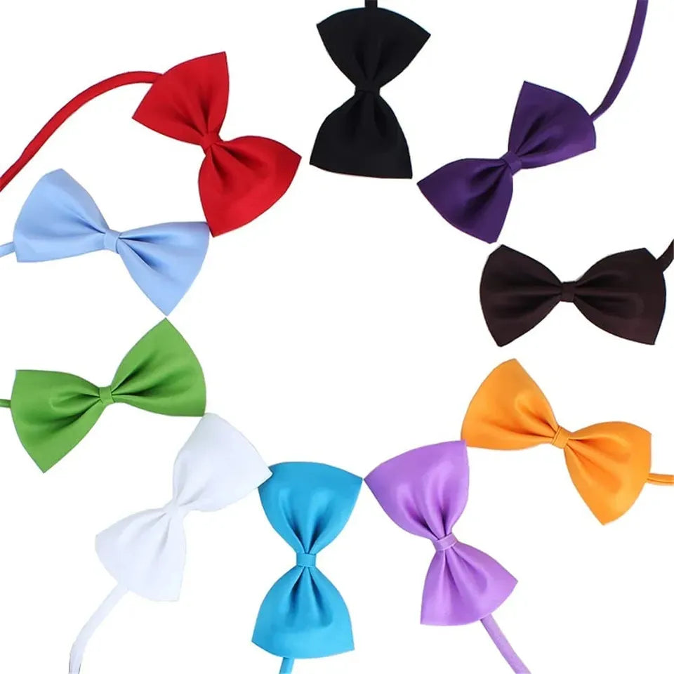 Bows for Cats and Small Puppies/Dogs pets-park-pk