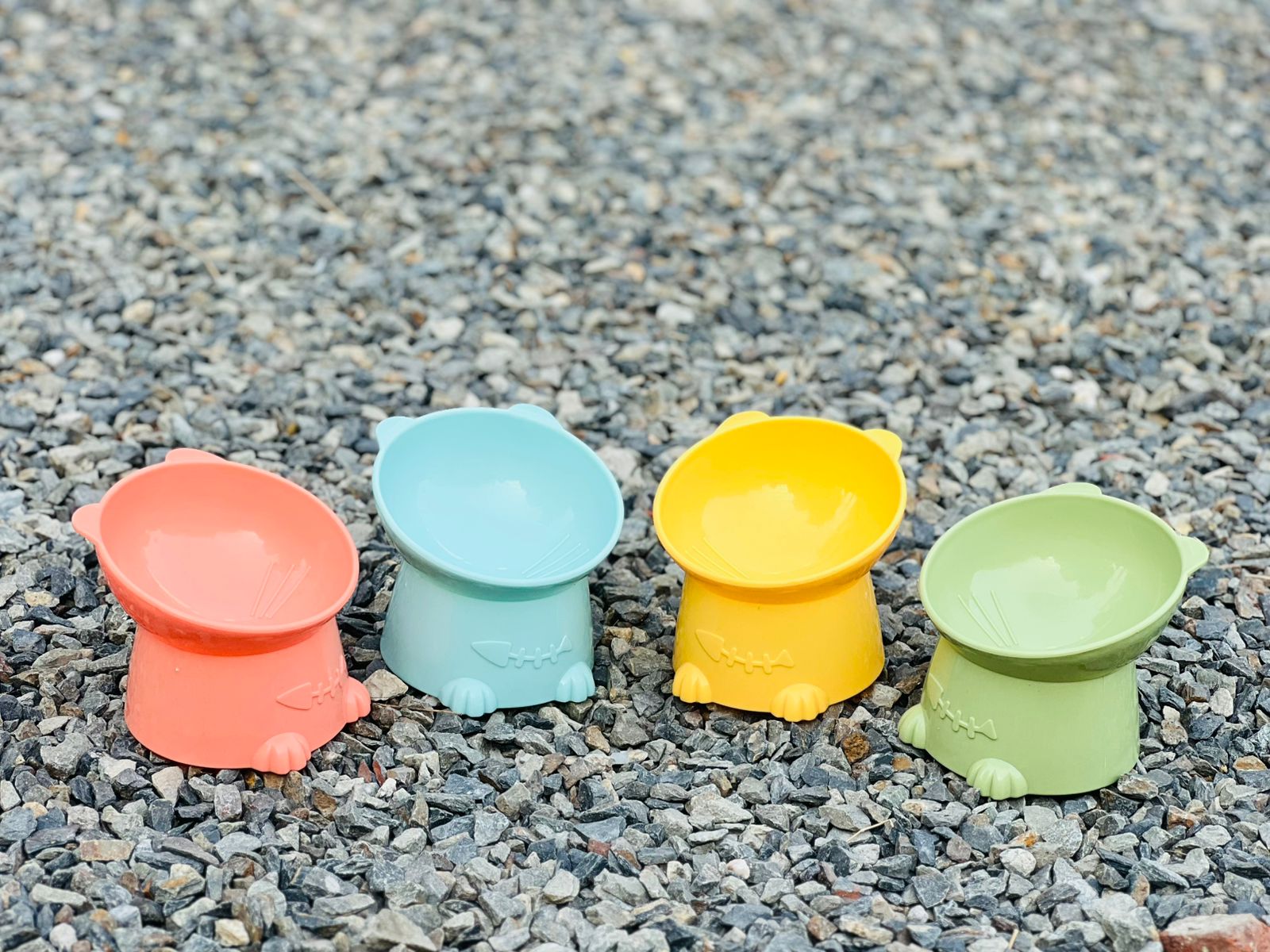 BunnyBee Deep Bowl for Kittens & Cats pets-park-pk