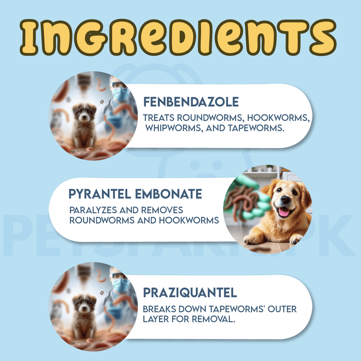 Caniverm Deworming Tablets for Cats & Dogs 01 Tablet pets-park-pk
