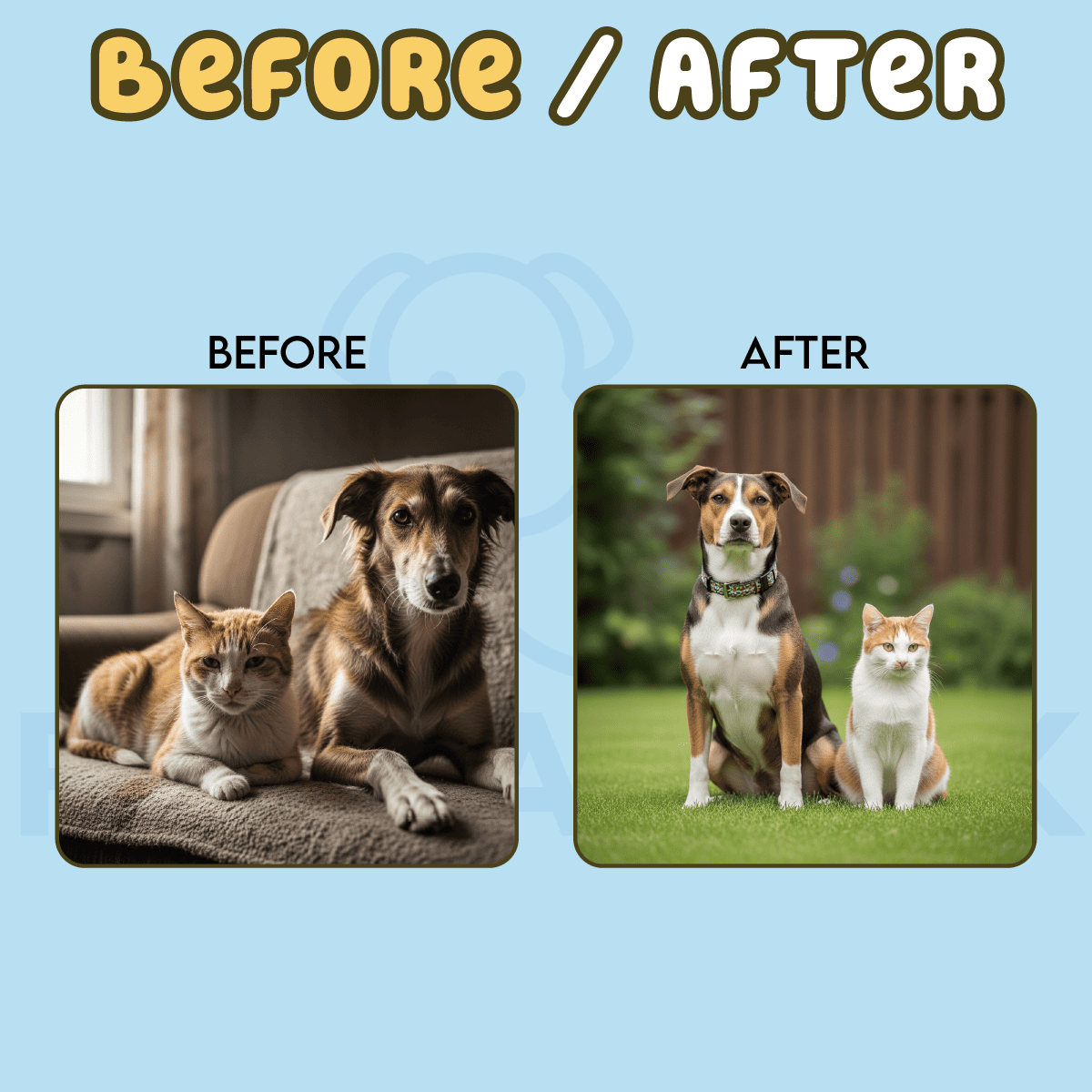 Caniverm Deworming Tablets for Cats & Dogs 01 Tablet pets-park-pk