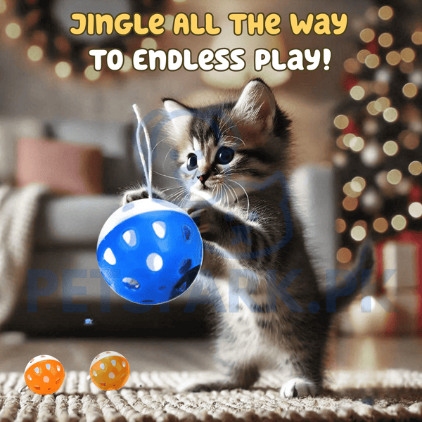 Cat Ball Jingle Balls * 1 - Cat Toy pets-park-pk