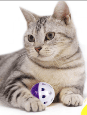 Cat Ball Jingle Balls * 1 - Cat Toy pets-park-pk