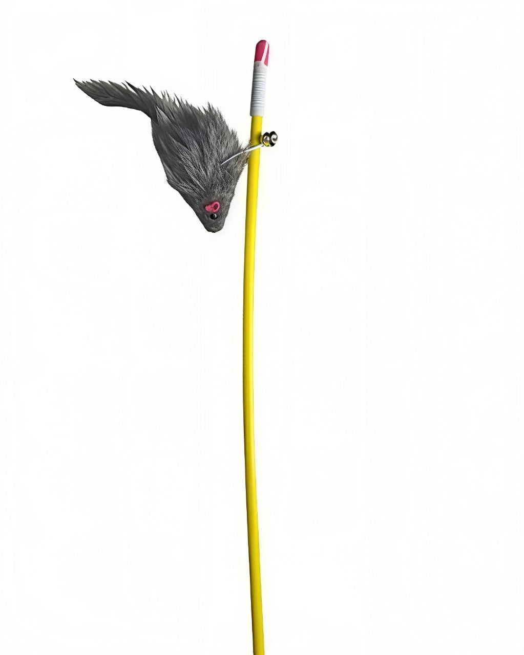 Cat Colourful Playing Stick pets-park-pk