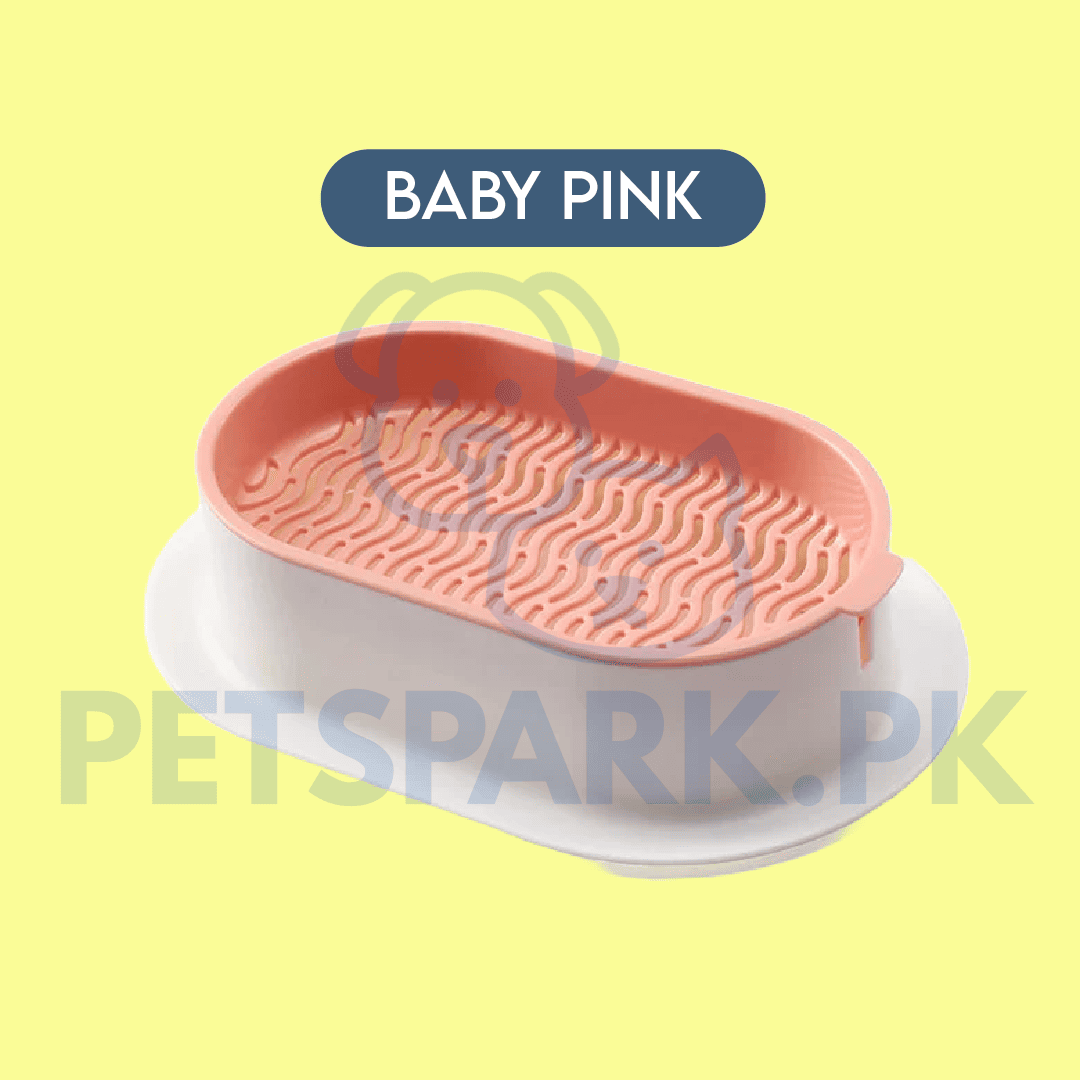 Cat Grass Growing Kit With Free Seeds pets-park-pk