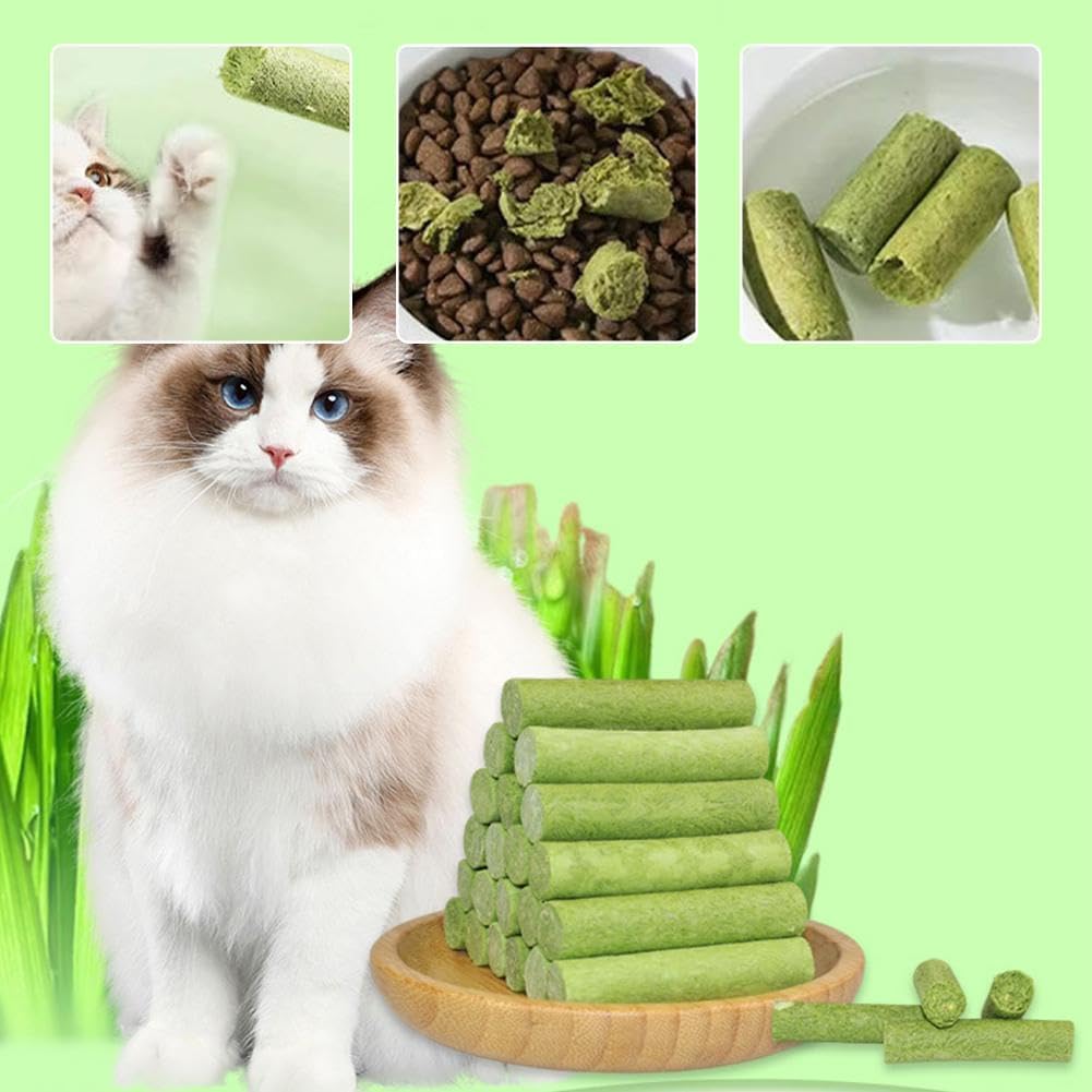 Cat Grass Teething Stick for Teeth and Hairballs Pack of 10 pets-park-pk