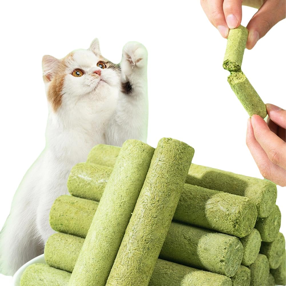 Cat Grass Teething Stick for Teeth and Hairballs Pack of 10 pets-park-pk