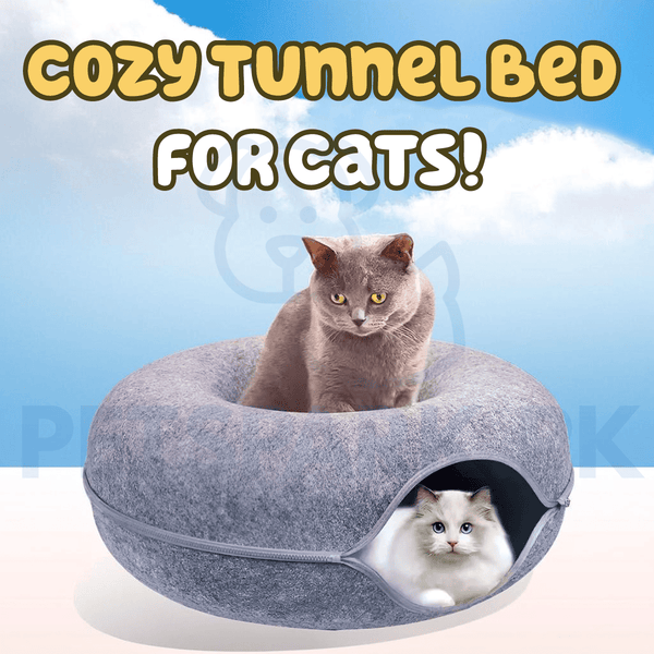 Cat Tunnel Bed for Indoor Cats Extra Large pets-park-pk