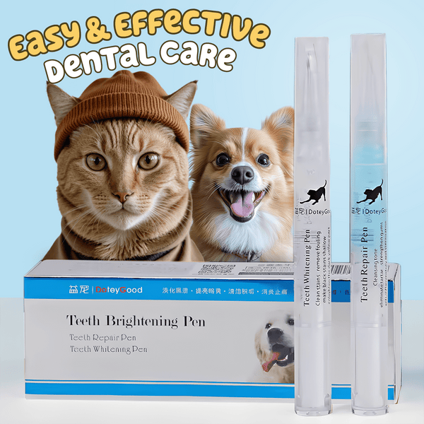 Dental Cleaning Kit for Clean Teeths 2 in 1 pets-park-pk