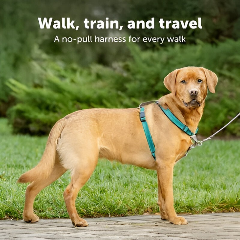 Dog Harness Best Quality pets-park-pk