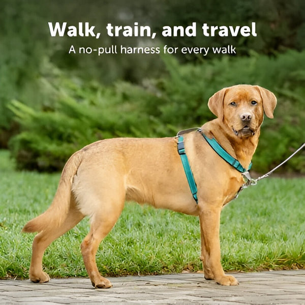 Dog Harness Best Quality pets-park-pk