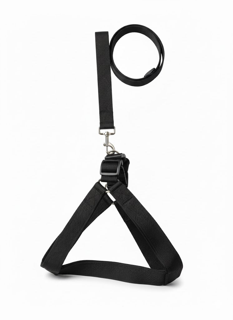 Dog Harness Best Quality pets-park-pk