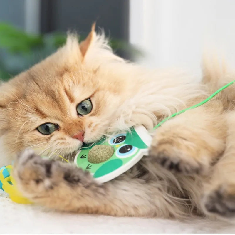 Hanging Kitten/Cat Teaser Toy with Catnip & Silvervine Fruit pets-park-pk