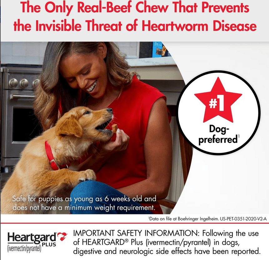 Heartgard Plus Chew for Dogs, 51-100 lbs * 1 Tablet pets-park-pk