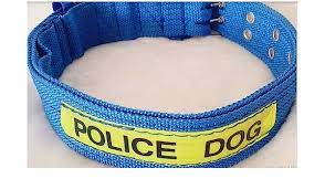 Heavy Duty Dog Collar pets-park-pk