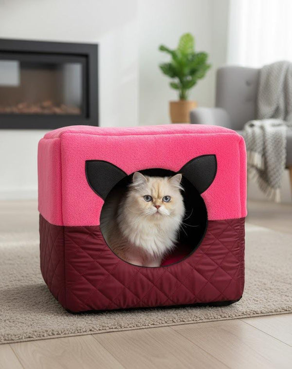 House in a Bed House Cum Bed pets-park-pk
