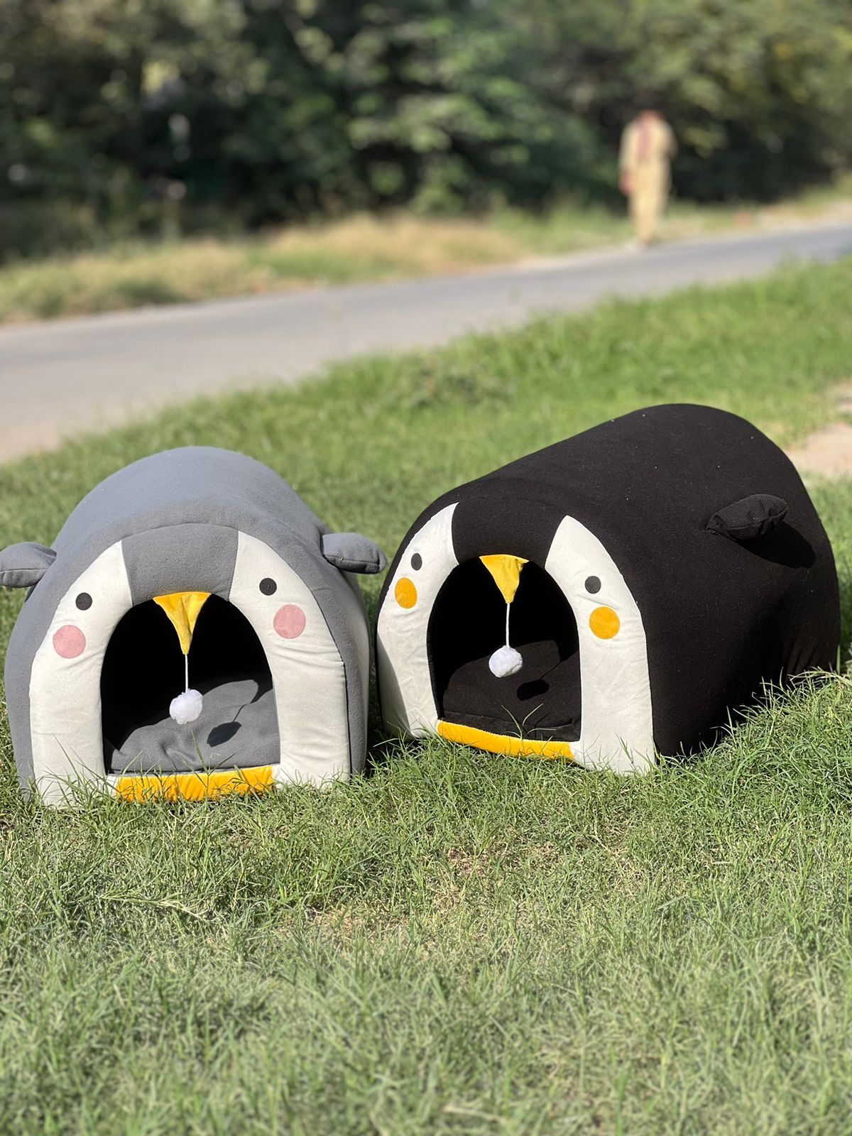 Igloo Pet House in Bed pets-park-pk