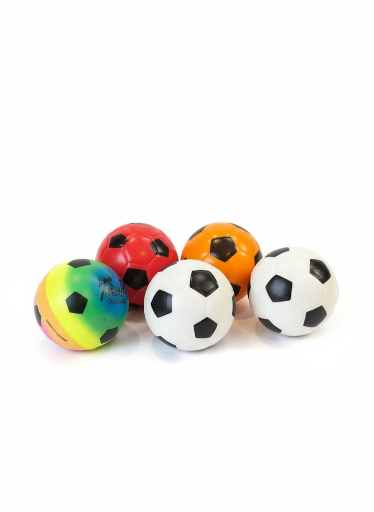Interactive Pet Soccer Ball Toy pets-park-pk