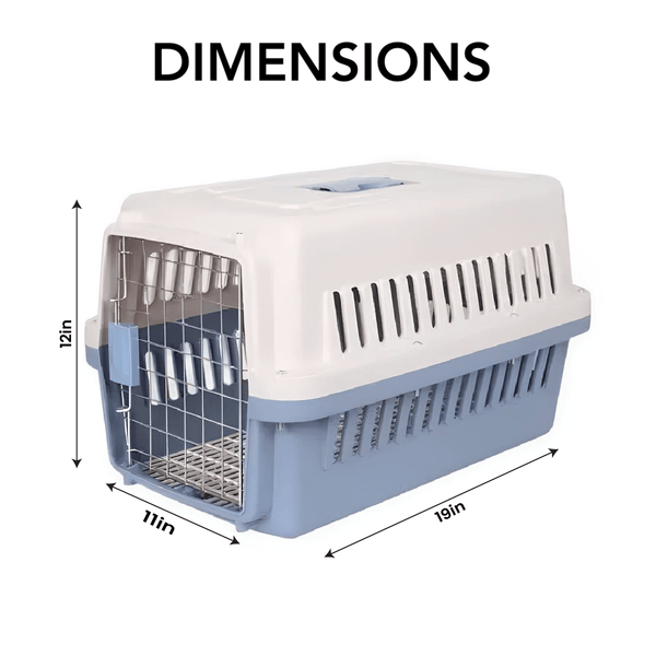 Jetbox for Cats and Puppies Made in Pakistan pets-park-pk