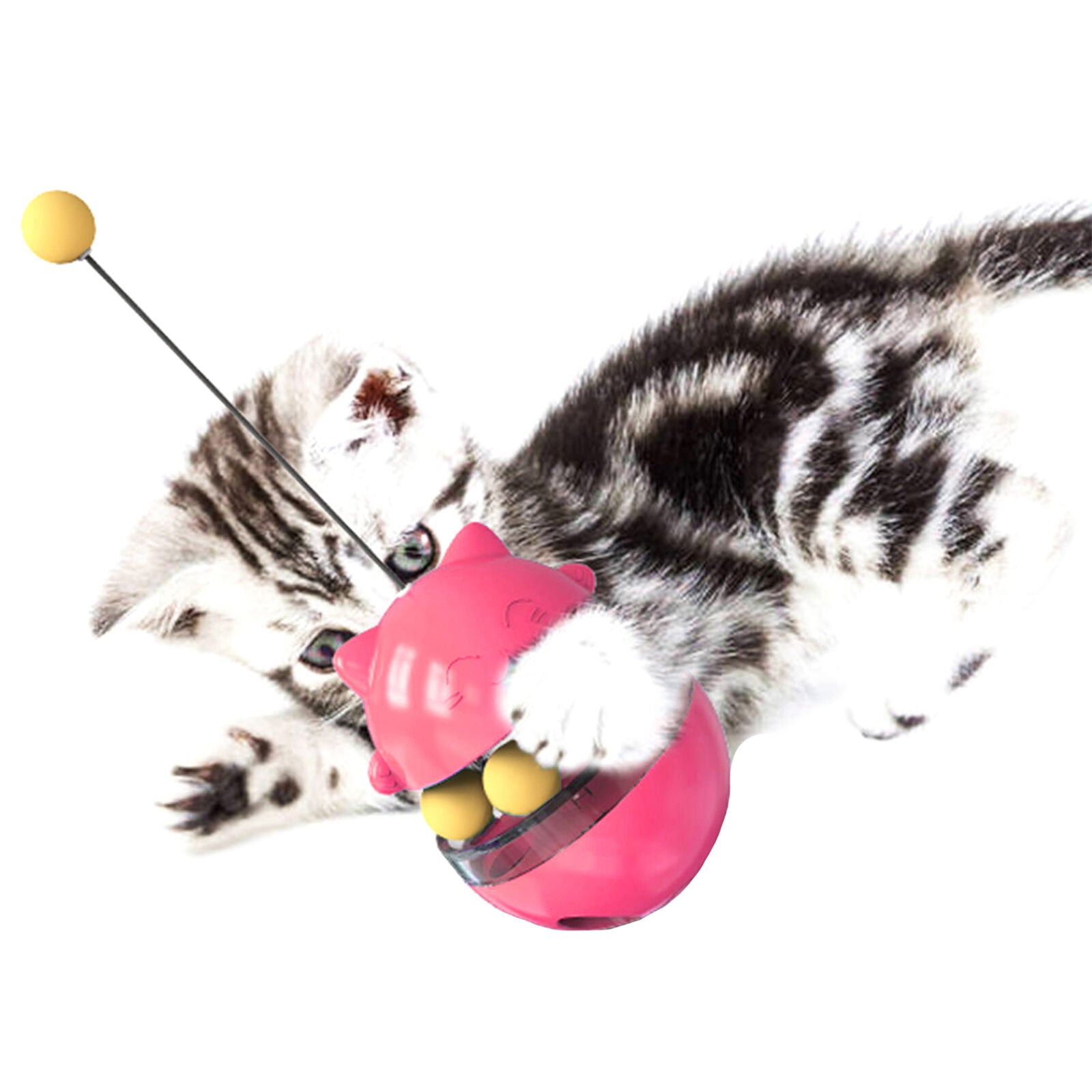 Kitten/Cat Tumbler Treat & Food Dispenser pets-park-pk