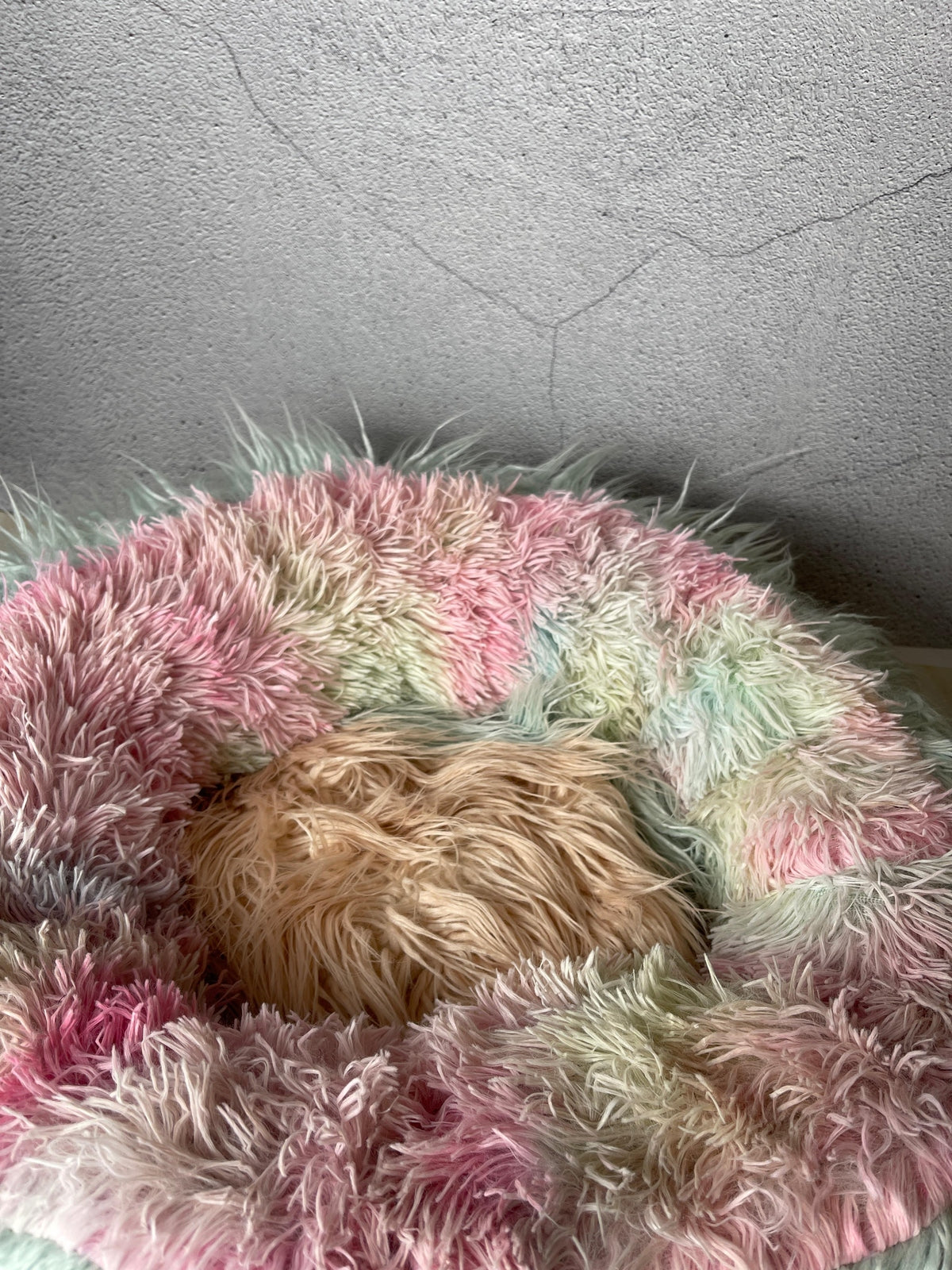Large Size Cat Fur Beds Assorted Colors pets-park-pk