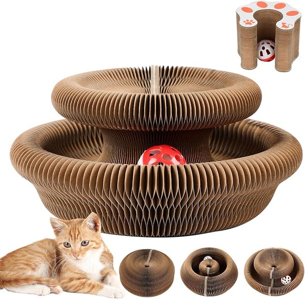 Magic Organ Board Toy for Kitten and Cats pets-park-pk