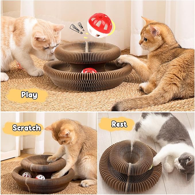 Magic Organ Board Toy for Kitten and Cats pets-park-pk