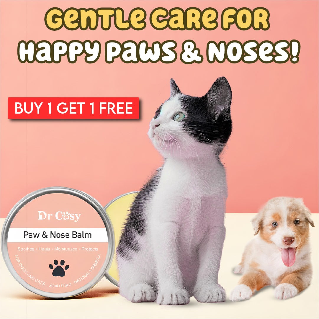 Natural Pet Paw Balm with Shea Butter and Vit E BUY 1 GET 1 FREE pets-park-pk