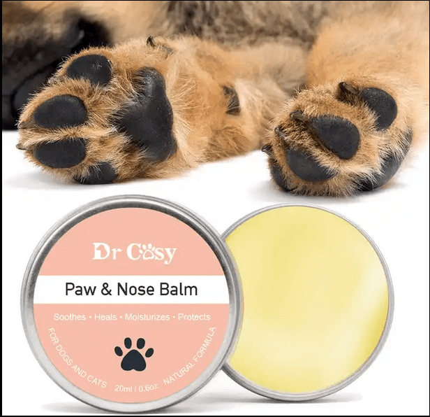 Natural Pet Paw Balm with Shea Butter and Vitamin E 20 Grams pets-park-pk