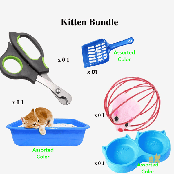 New Kitten Bundle Free Delivery pets-park-pk