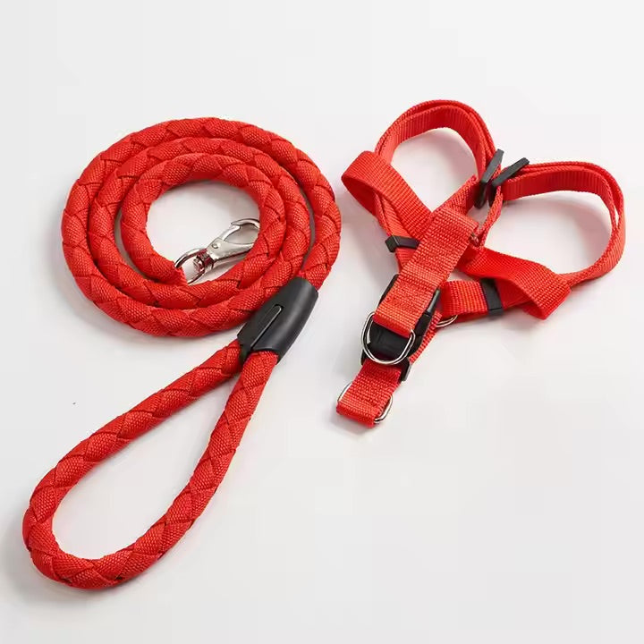 New Wavy Leash 10mm Imrported pets-park-pk